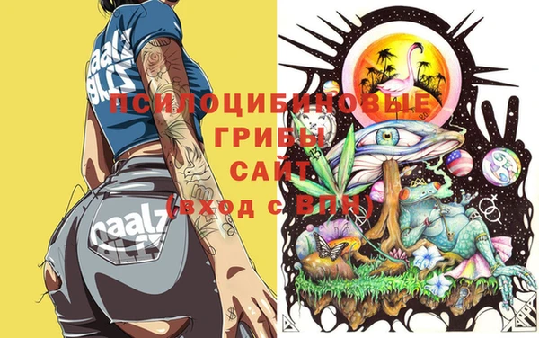 MDMA Premium VHQ Гусиноозёрск