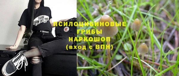таблы Гусь-Хрустальный