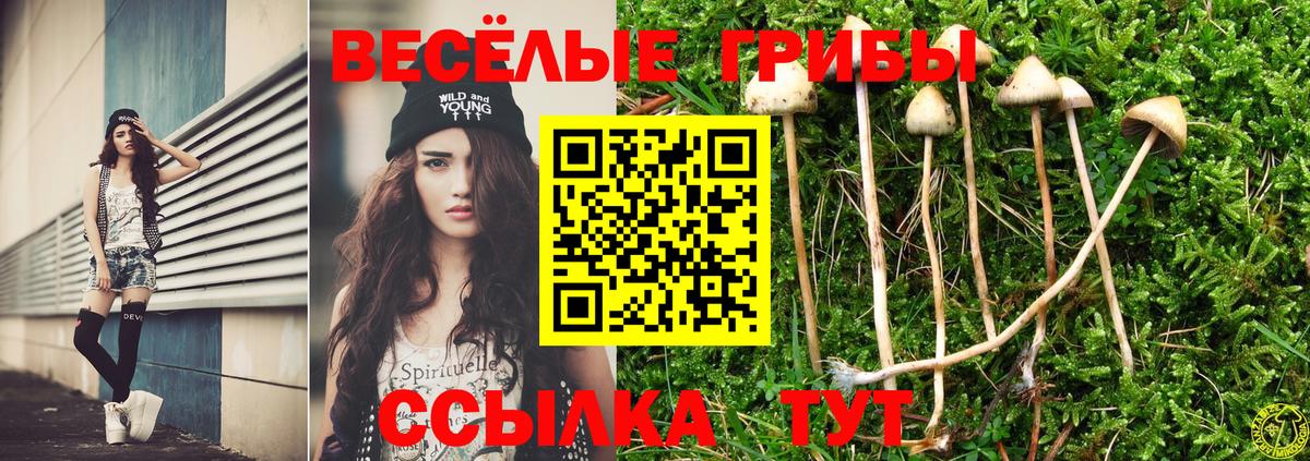 купить наркоту  Галлюциногенные грибы ЛСД  Вход с VPN  Урай 
